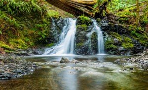 Naturheilkunde Berlin Wasserfall